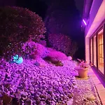 Hotel Goldener Acker 4*
