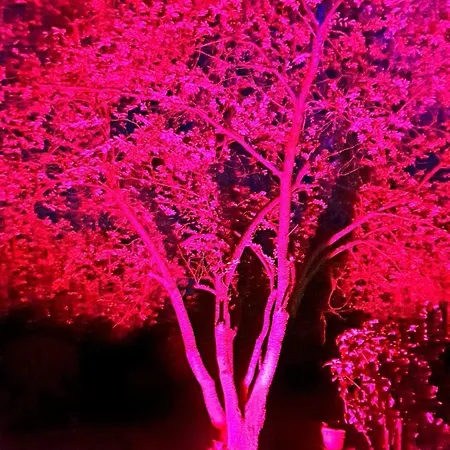 Hotel Goldener Acker 4*