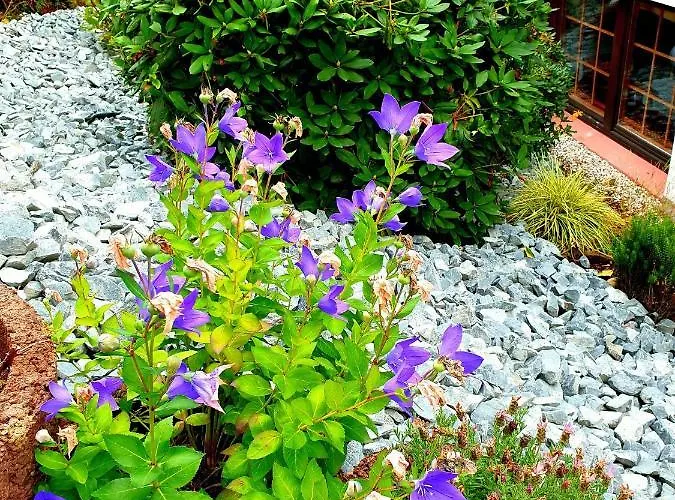 Goldener Acker 酒店 Morsbach (Oberbergischer Kreis)