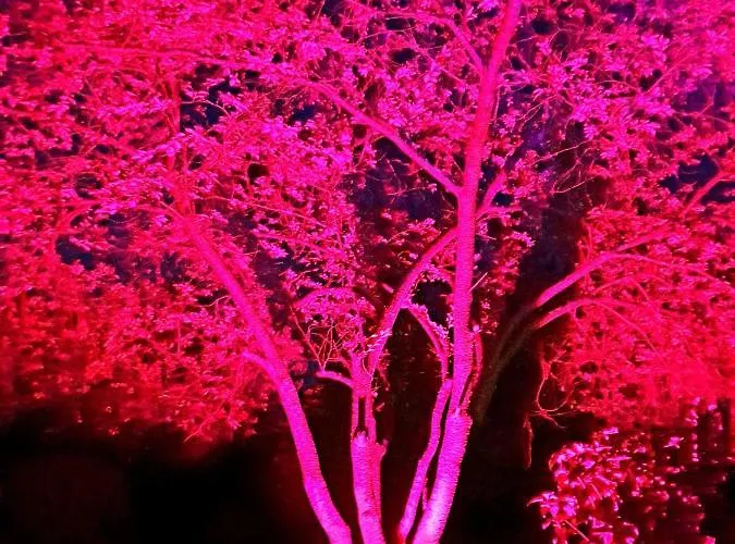 Szálloda Goldener Acker 4*