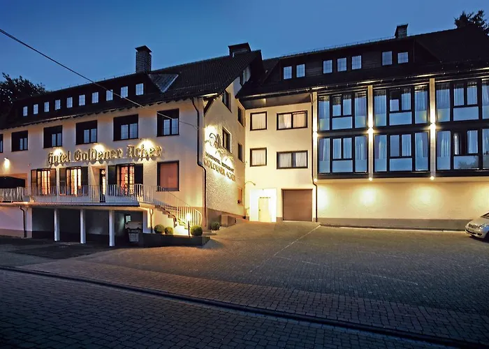 Hotell Goldener Acker 4*